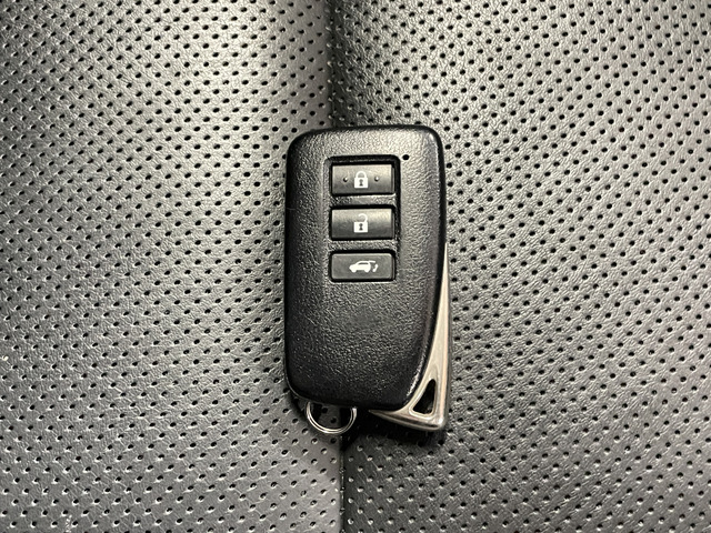 Lexus NX 10