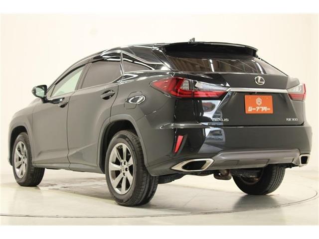 Lexus RX 11