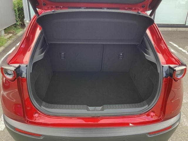 Mazda CX-30 12