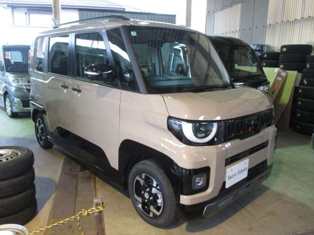Mitsubishi Delica Mini 3