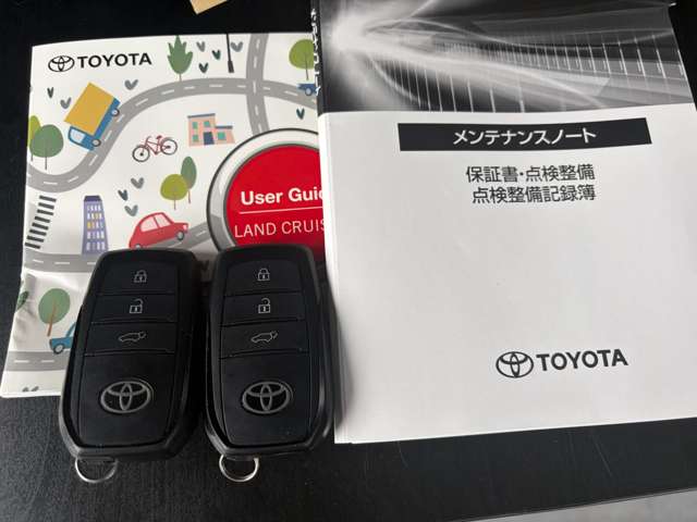 Toyota Land Cruiser 250 6