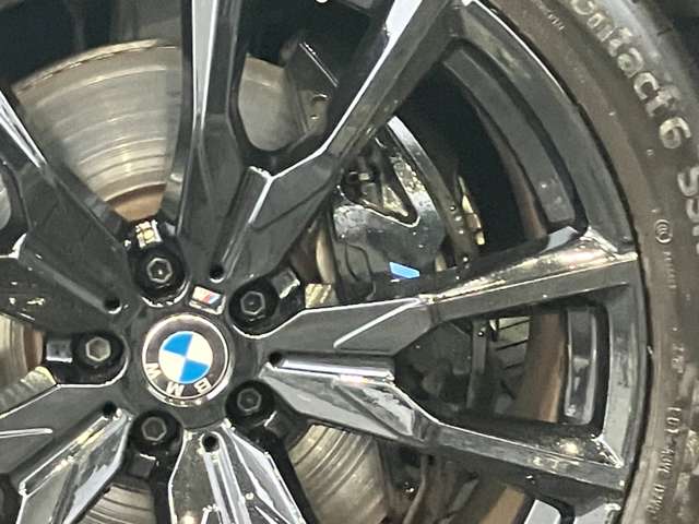 BMW X7 10