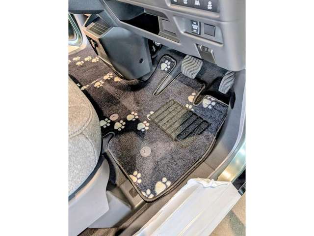 Mitsubishi Delica Mini 12