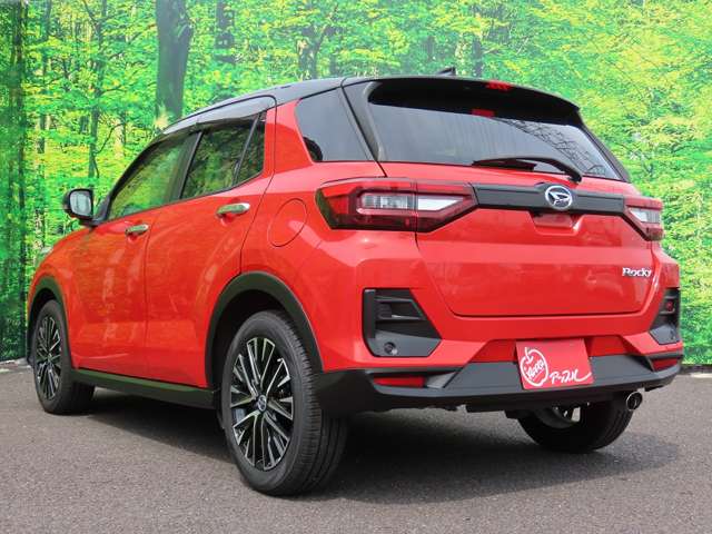 Daihatsu Rocky 11