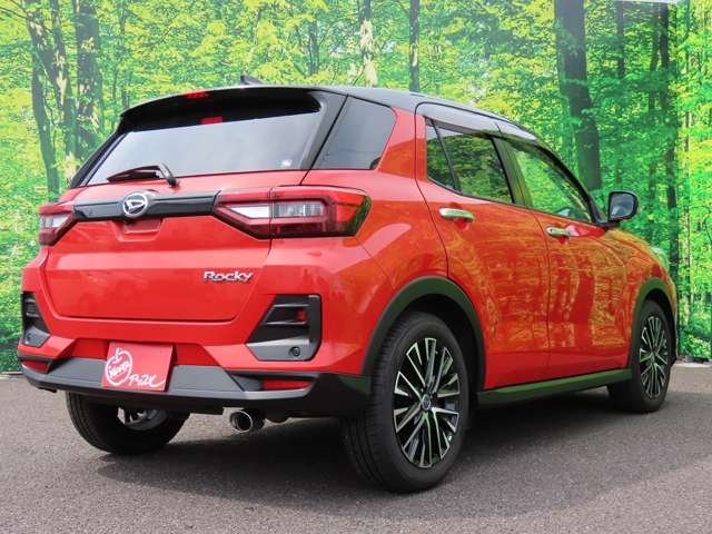 Daihatsu Rocky 12