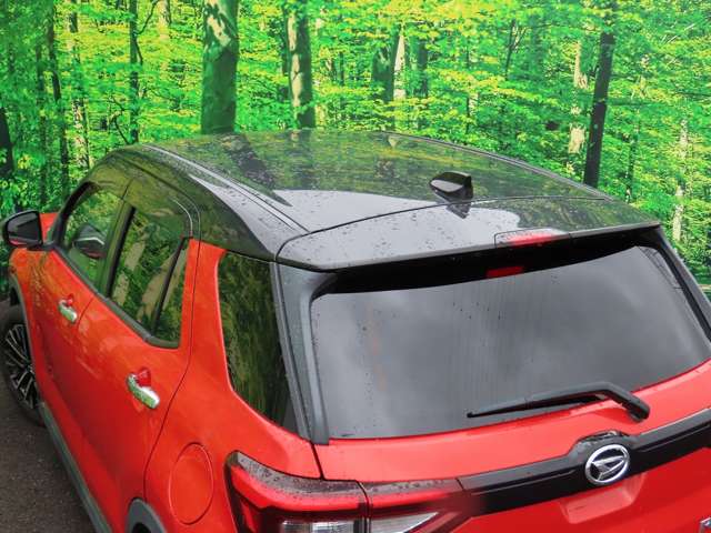 Daihatsu Rocky 9