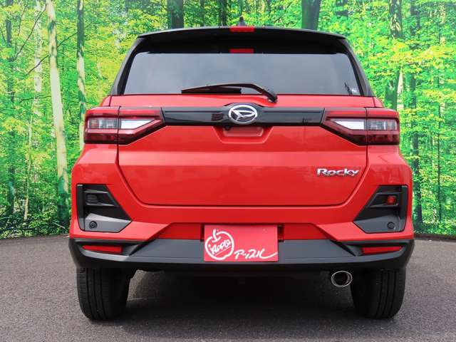Daihatsu Rocky 10