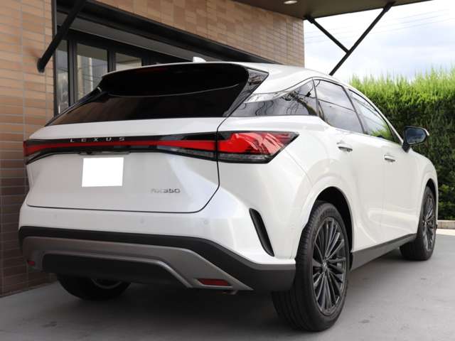 Lexus RX 11