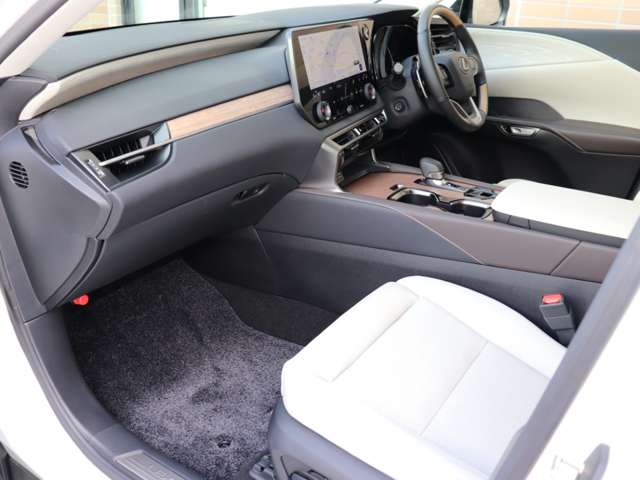 Lexus RX 12