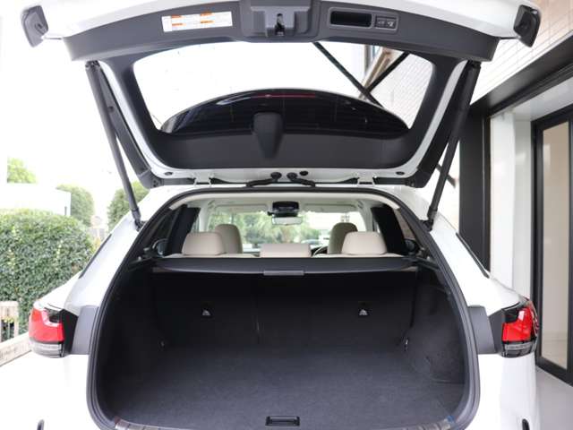 Lexus RX 6