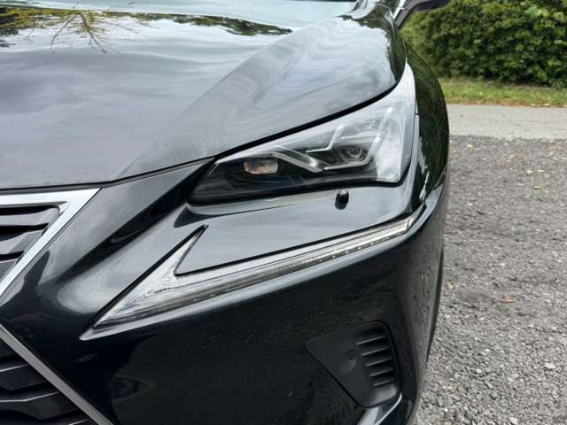 Lexus NX 7