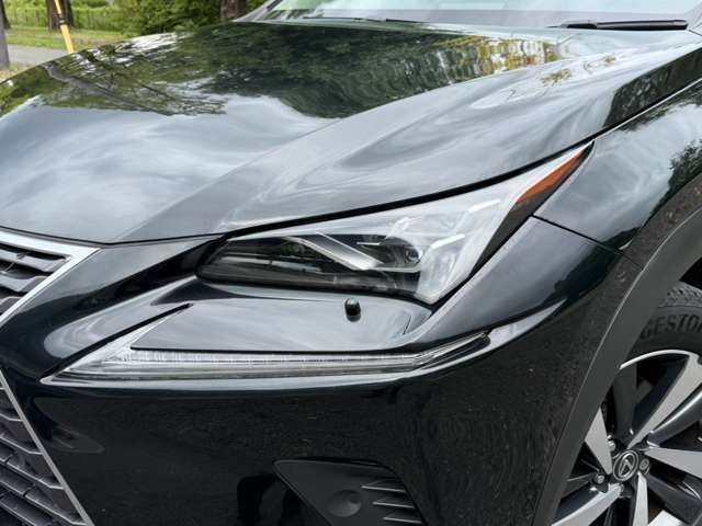 Lexus NX 8