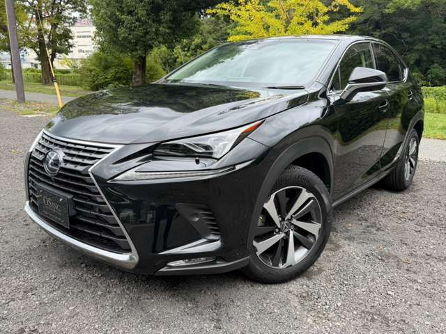 Lexus NX 9