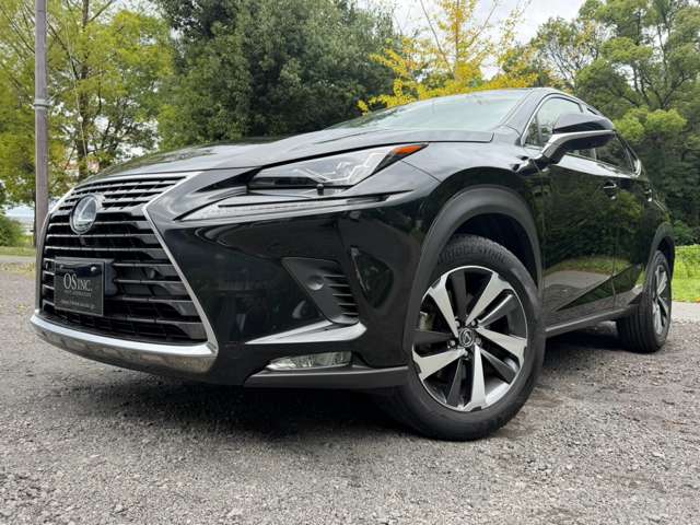Lexus NX 10
