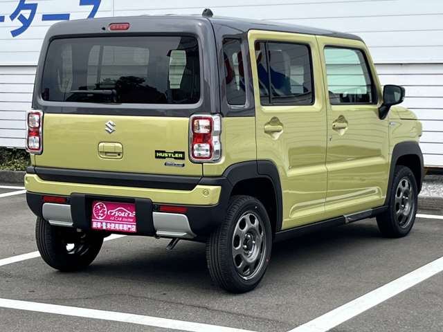 Suzuki Hustler 5