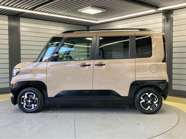 Mitsubishi Delica Mini 7