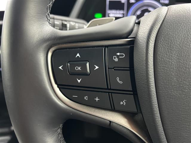 Lexus UX 10