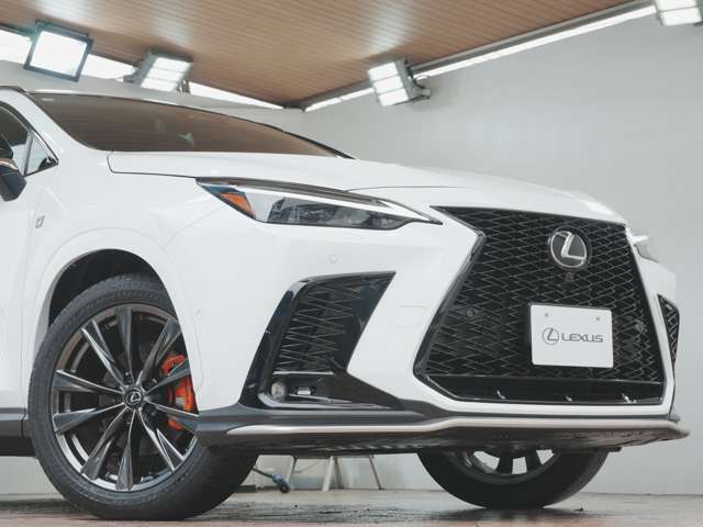 Lexus NX 12