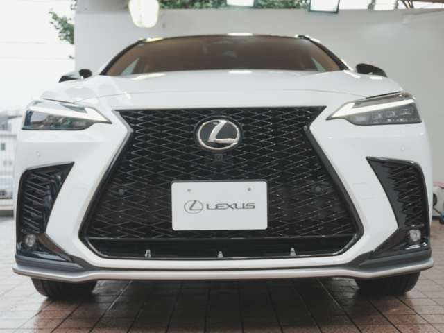 Lexus NX 10