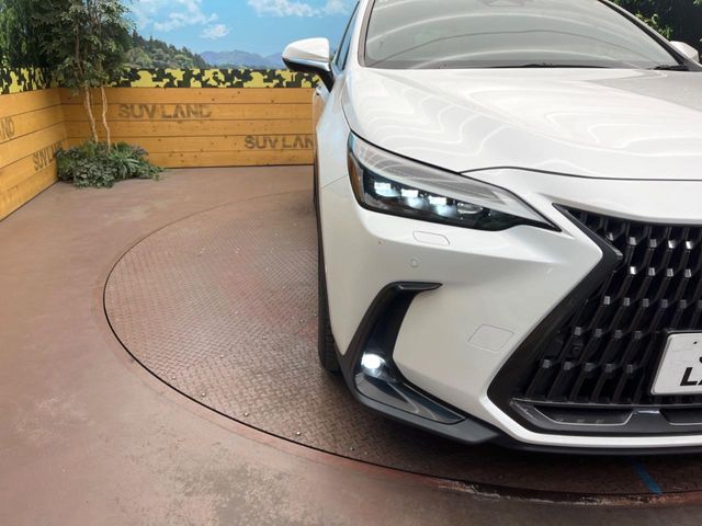 Lexus NX 12