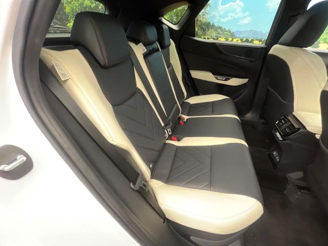 Lexus NX 10