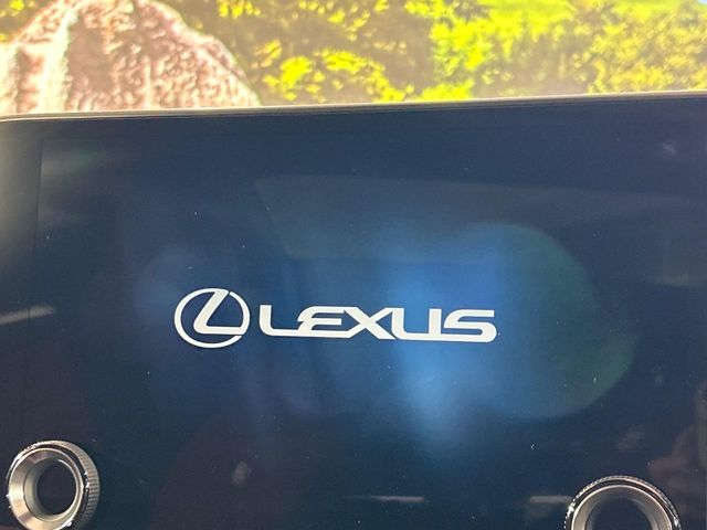 Lexus NX 3