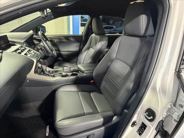 Lexus NX 12