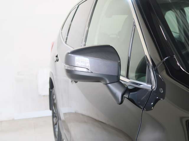 Subaru Forester 11