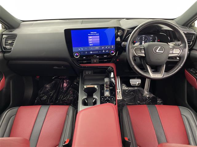 Lexus NX 11