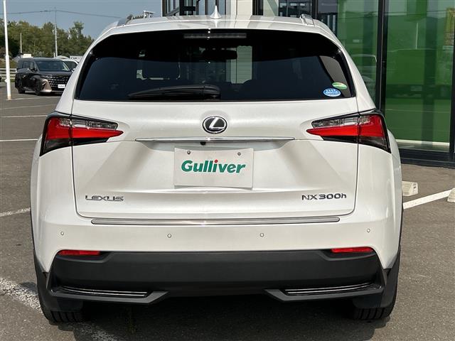 Lexus NX 7