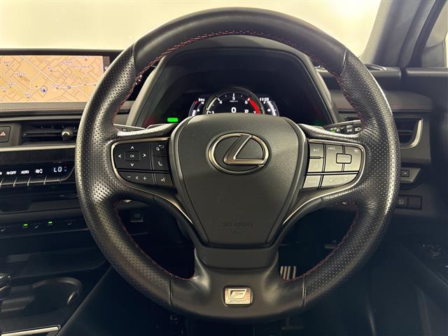 Lexus UX 11