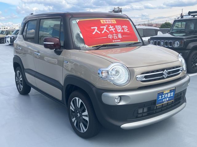 Suzuki XBEE 6