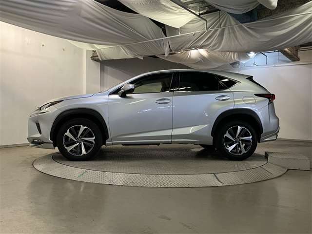 Lexus NX 4