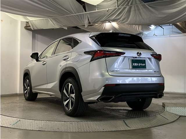 Lexus NX 6