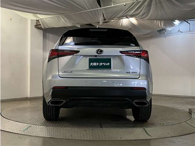 Lexus NX 7