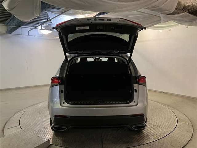 Lexus NX 9