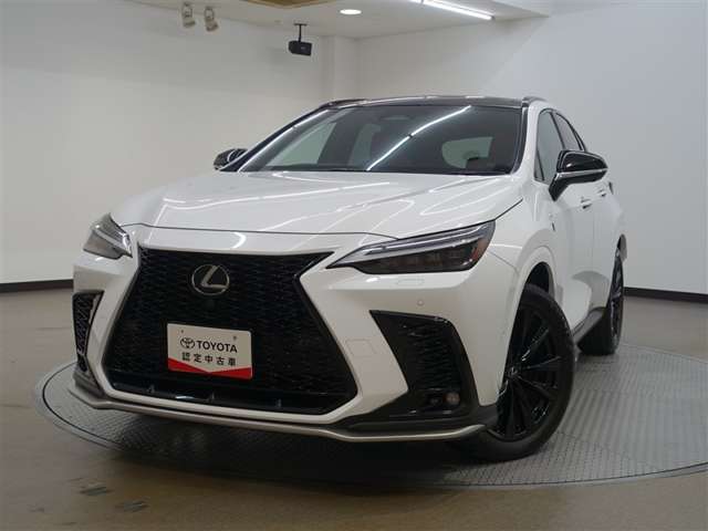 Lexus NX 6