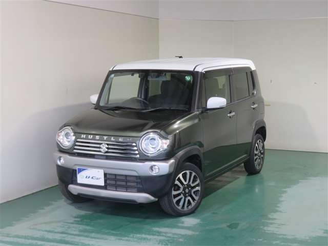 Suzuki Hustler 11