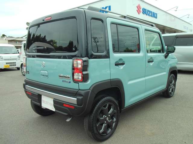 Suzuki Hustler 4