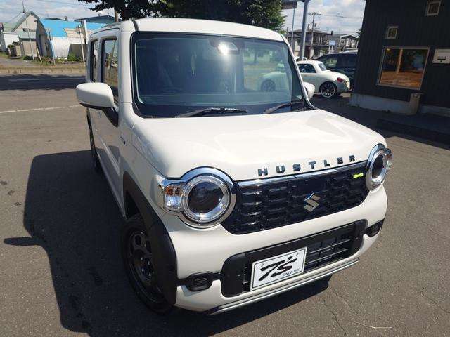 Suzuki Hustler 10