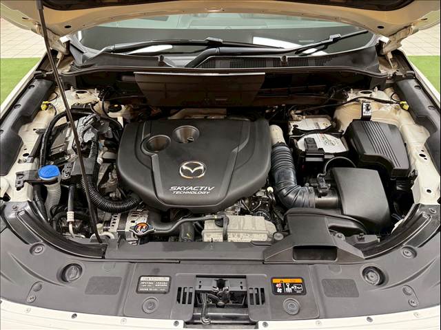 Mazda CX-8 12