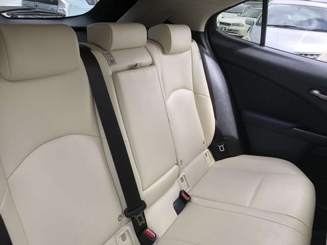 Lexus UX 12