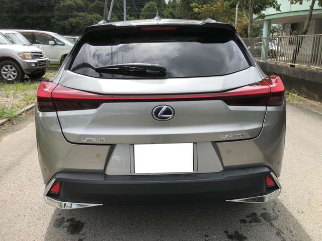 Lexus UX 4