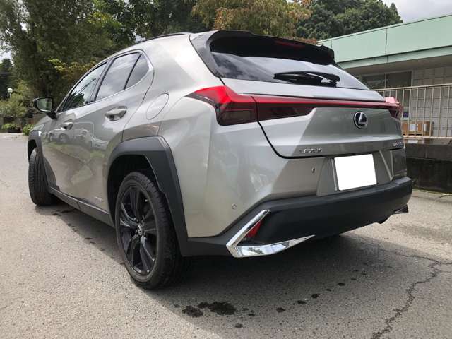 Lexus UX 6