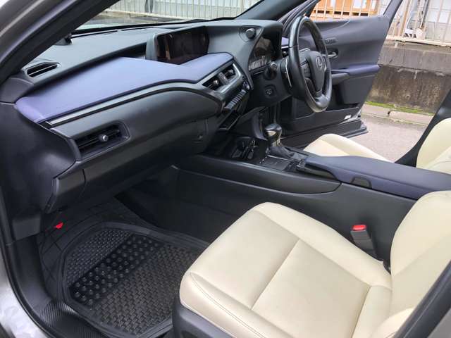 Lexus UX 9