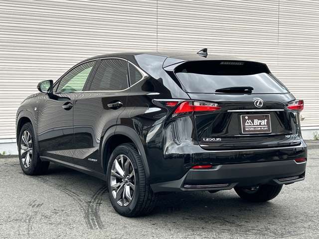 Lexus NX 5