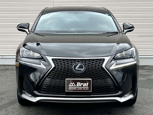 Lexus NX 6