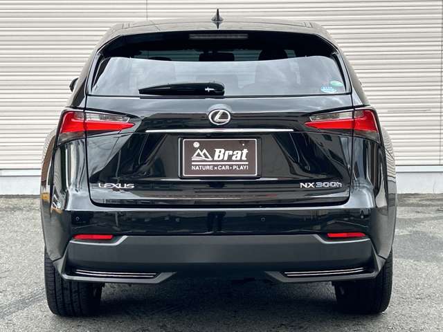 Lexus NX 7
