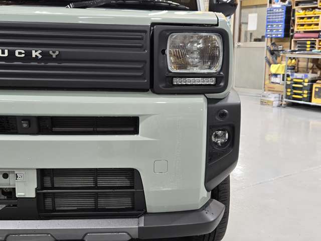 Daihatsu Taft 6
