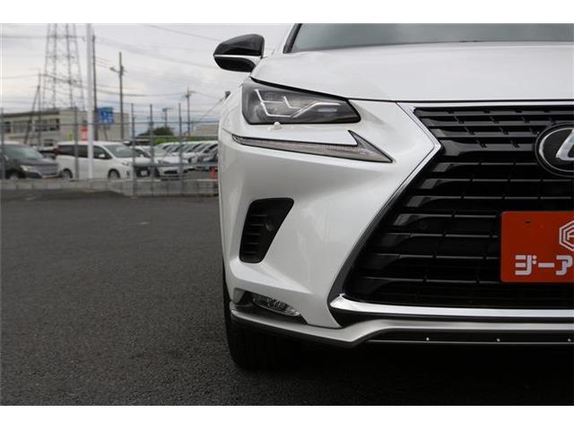 Lexus NX 11